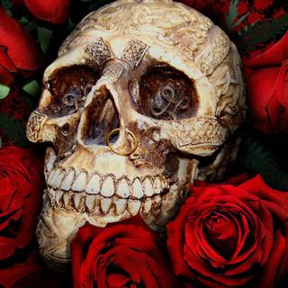 Skull drop roses wallpaper
