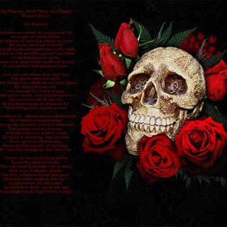Skull drop roses wallpaper