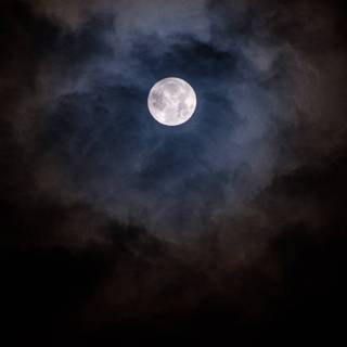 Moonlight Glow wallpaper