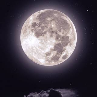 Moonlight Glow wallpaper