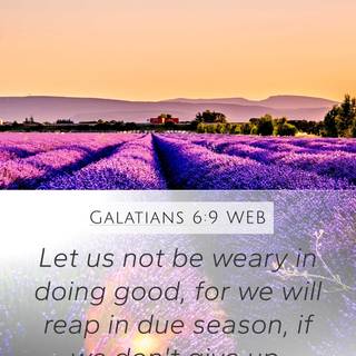 Galatians wallpaper