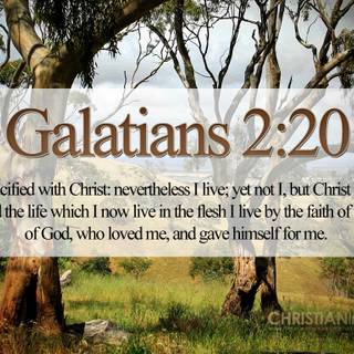 Galatians wallpaper