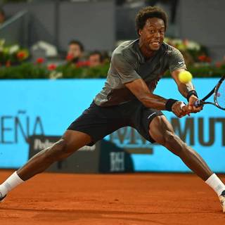 Gaël Monfils wallpaper