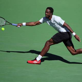 Gaël Monfils wallpaper