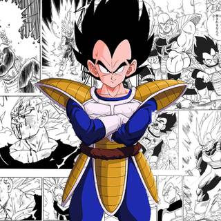 Saiyan Saga wallpaper