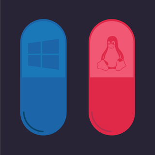 Red pill blue pill wallpaper