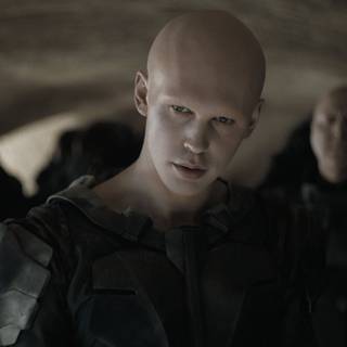 Feyd Rautha wallpaper