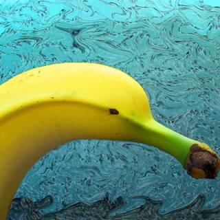 Banana dolphin wallpaper