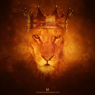 Crown lion computer wallpaper