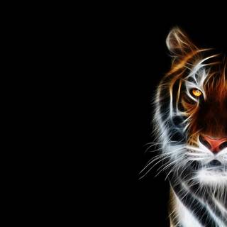 Cool tiger computer wallpaper