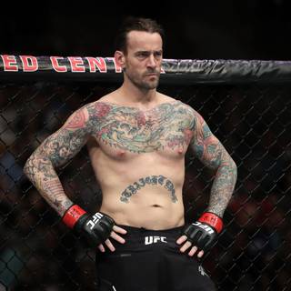 CM Punk UFC wallpaper