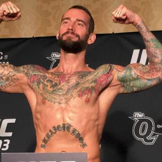 CM Punk UFC wallpaper