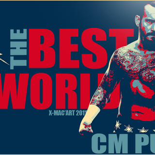 CM Punk UFC wallpaper