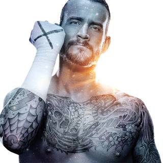 CM Punk UFC wallpaper