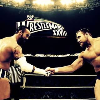 CM Punk UFC wallpaper