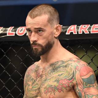 CM Punk UFC wallpaper