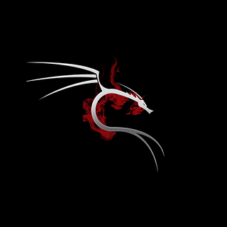 Kali Linux anime wallpaper