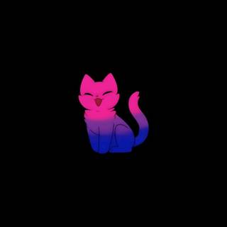 Bisexual cat wallpaper