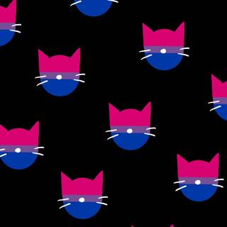 Bisexual cat wallpaper