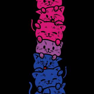 Bisexual cat wallpaper