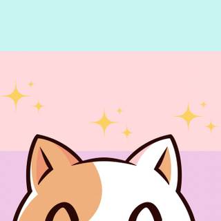 Bisexual cat wallpaper