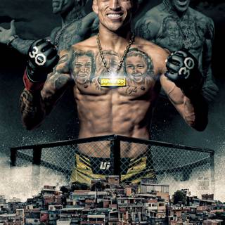 Do Bronx wallpaper