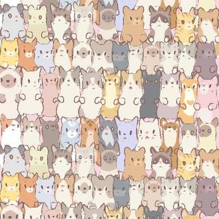Super kitty phone wallpaper