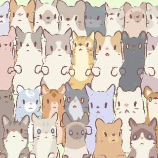 Cute cat PC wallpaper