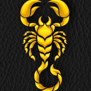 Black scorpio 4k iPhone wallpaper