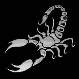 Black scorpio 4k iPhone wallpaper