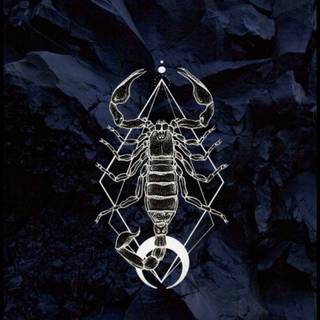 Black scorpio 4k iPhone wallpaper