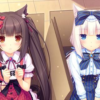 Chocola desktop wallpaper