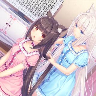 Chocola desktop wallpaper