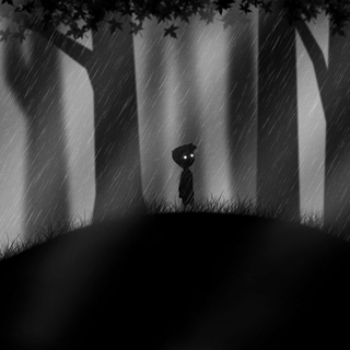 Rainy jungle wallpaper