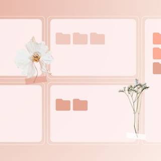 Organizer desktop wallpaper