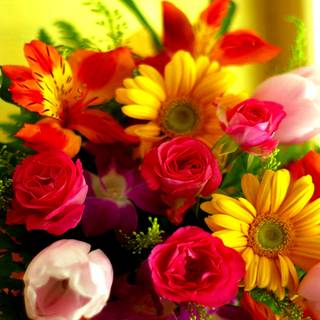 Big flower wallpaper