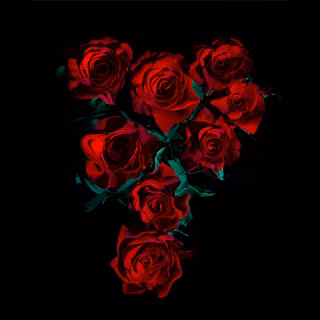 Dark red roses wallpaper