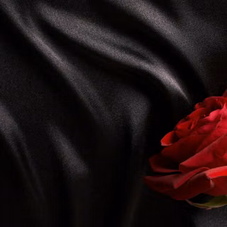 Dark red roses wallpaper