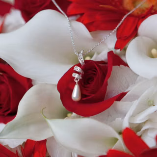 Dark red roses wallpaper