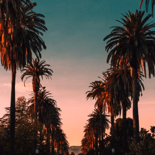 LA California wallpaper