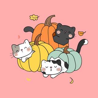 Cute cat autumn wallpaper