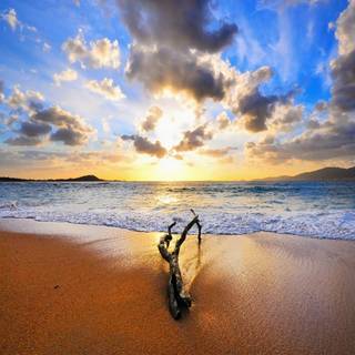 Beach summer iPad wallpaper