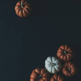 4k autumn portrait wallpaper