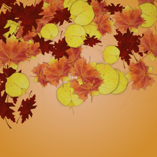 Autumn leaves simple wallpaper