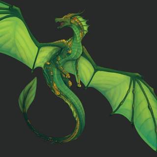 WoF Sundew wallpaper