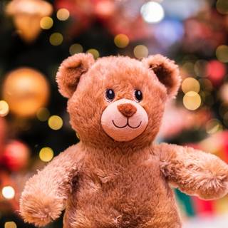 Cute bear 4k wallpaper