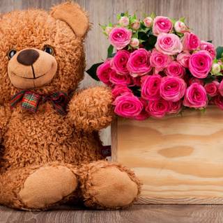 Cute bear 4k wallpaper