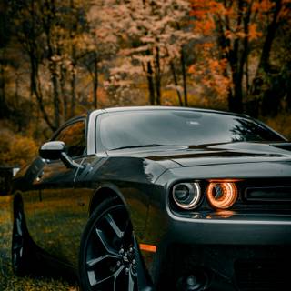 Dodge Challenger 4k mobile wallpaper