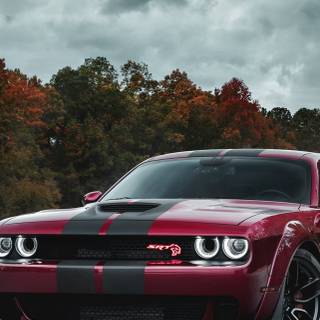 Dodge Challenger 4k mobile wallpaper