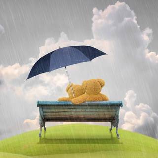 Cute bear 4k wallpaper